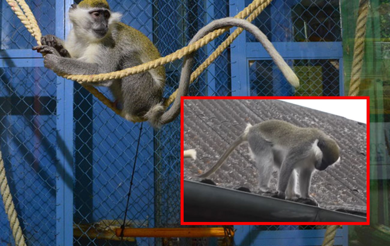  �������� �������� ������ ������� �������� �������� ���� ���� 