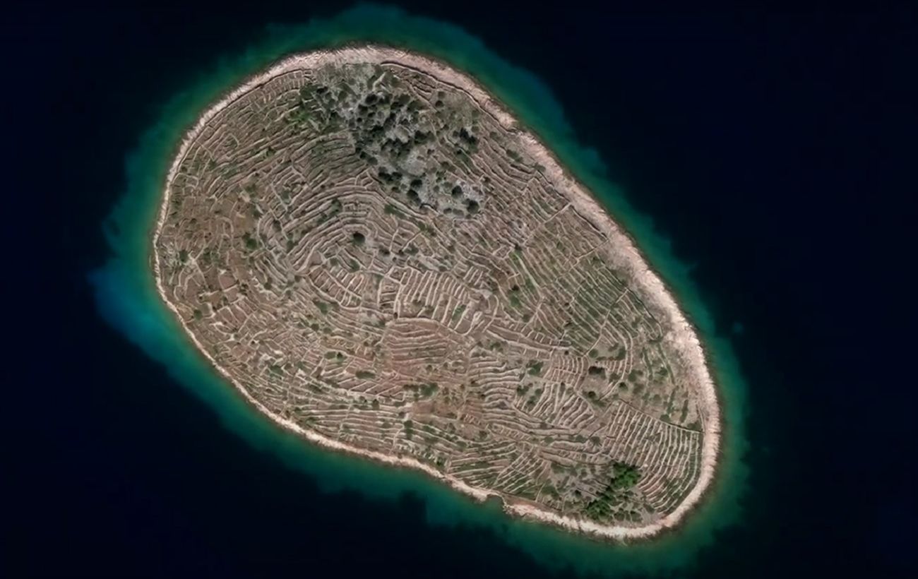  ���� ������� ������ ������ ����� ��� ��������� ��������� 