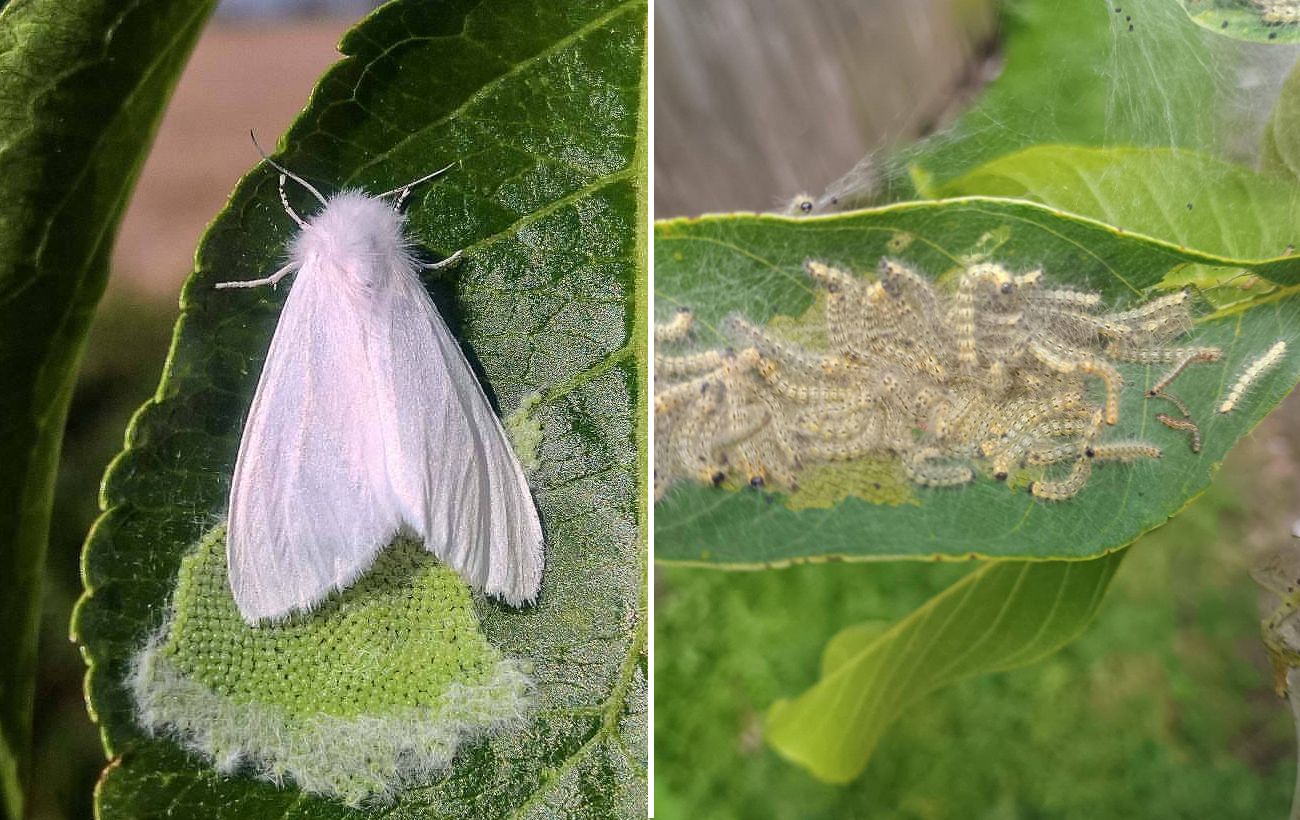 ����: rbc.ua