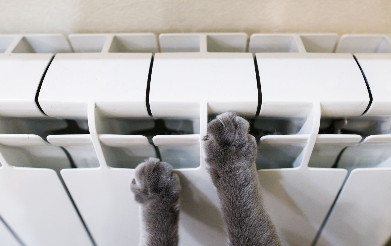  ��������� ����� ��� ������ ���� ������������� ��� ����������� 