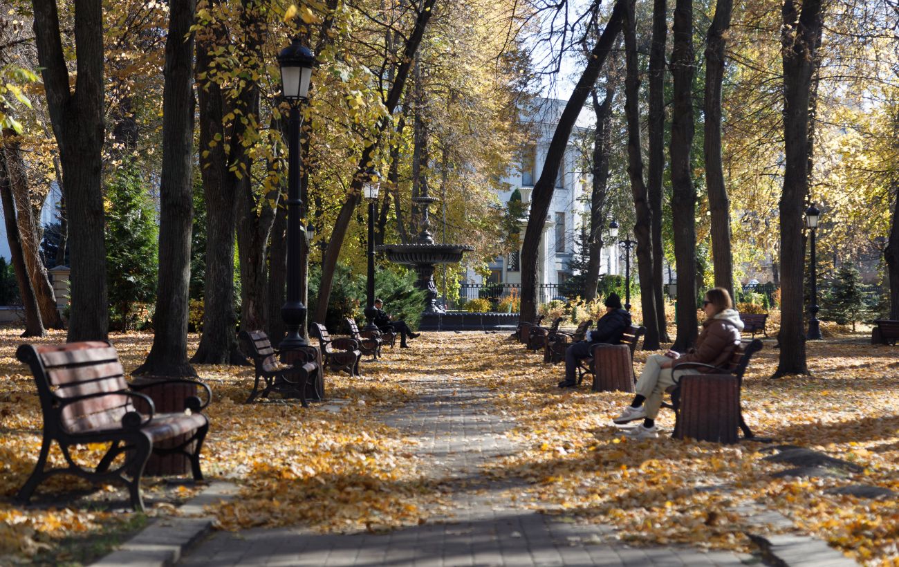  �������� ������� ������� ���������� ����� ����������� ����� ������� 