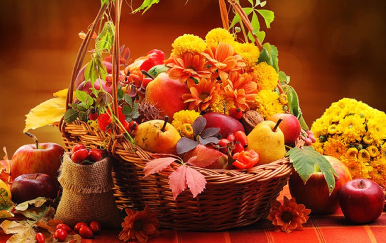  ������ �������� ���� �������� ������ �������� ����� �������� 