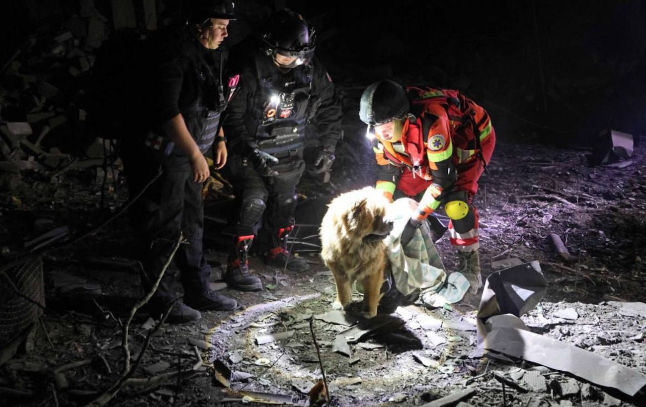  ������� �������� ����� ��������� 