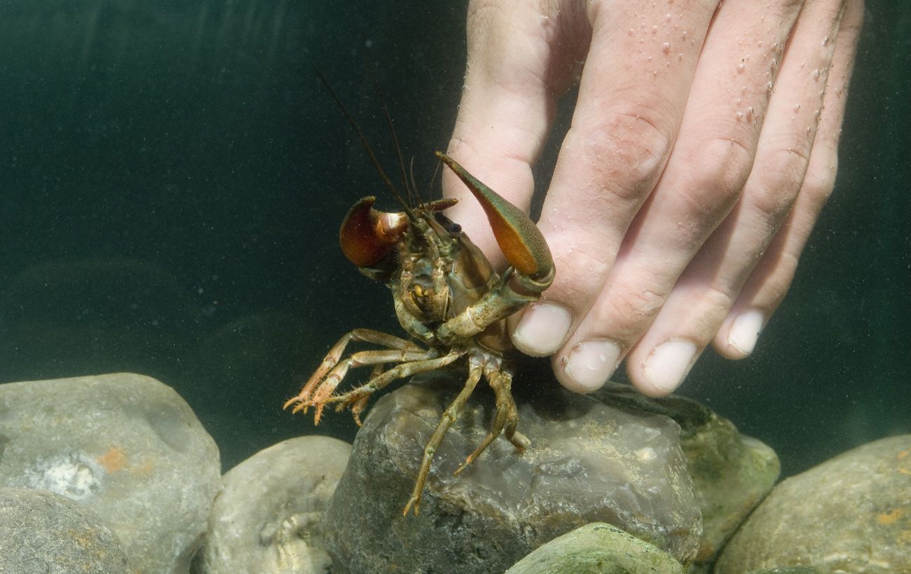  ����� ������� ������ ������� ������ ��������� ����������� ���������� 