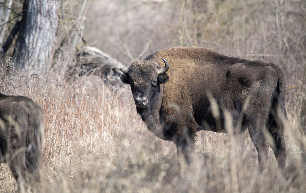 ����: rbc.ua