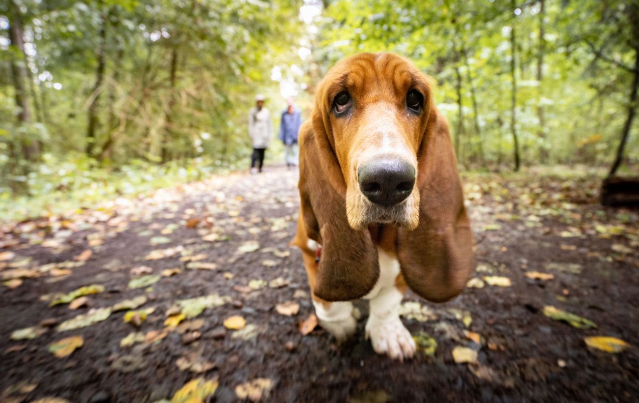  ������� ������� ���-������� ��������� ������ 