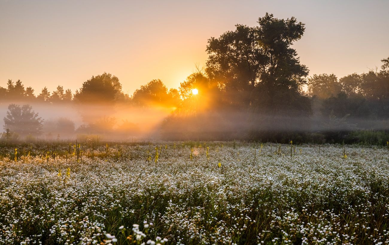 ����: rbc.ua