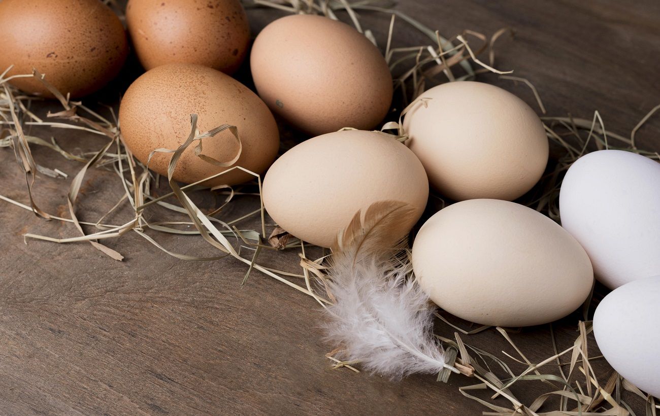 ����: rbc.ua