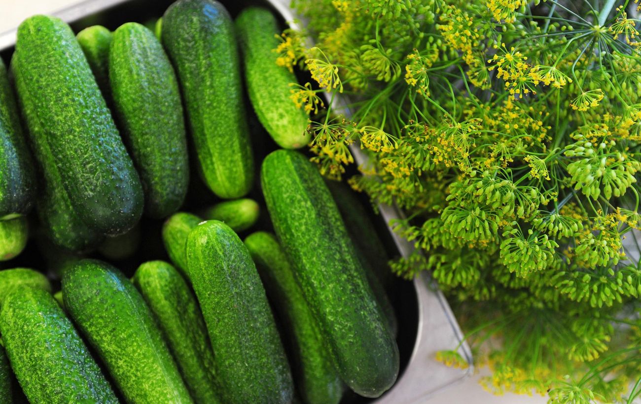 ����: rbc.ua