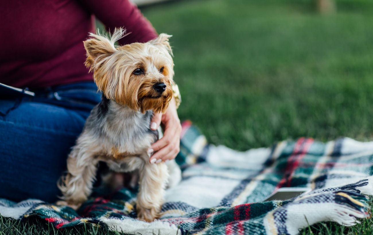  ������� ��������������� ��� ����� ������ ������� ��������� ������ 