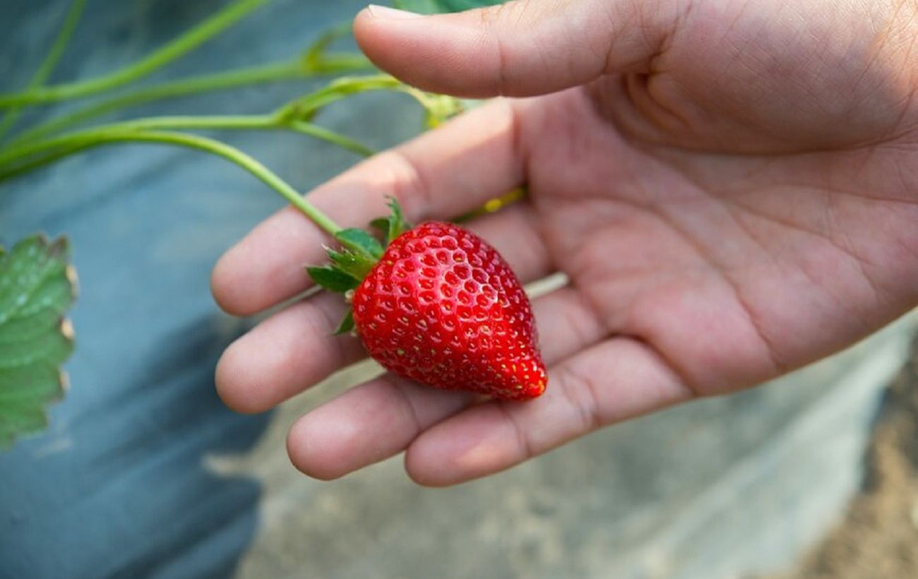 ����: rbc.ua