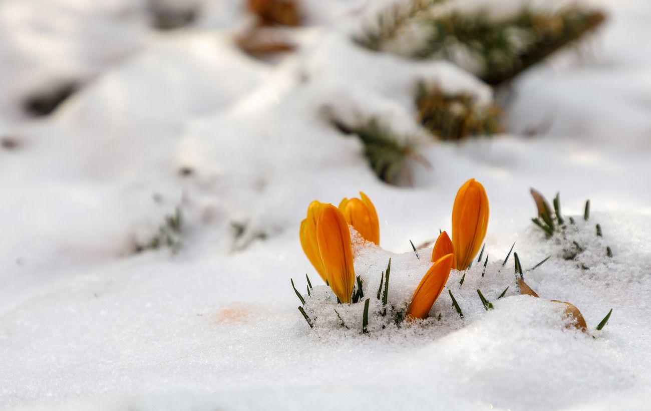  ������� ����� ������� ����� ������ 