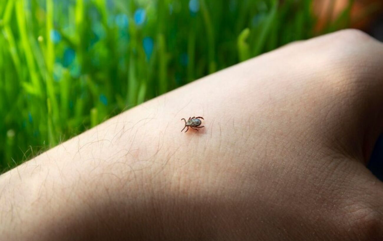 ����: rbc.ua