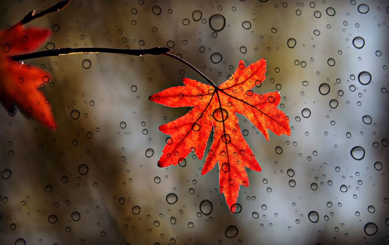  ���� ������� ������ 2022 