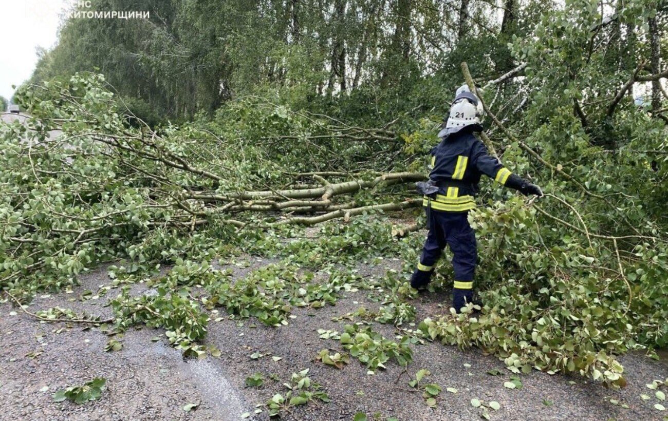  �������� ������� ���� �������� ������� ����� ������� 