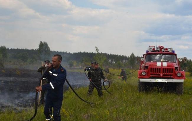 Пожарным пока не удается потушить тлеющий торф под Чернобылем