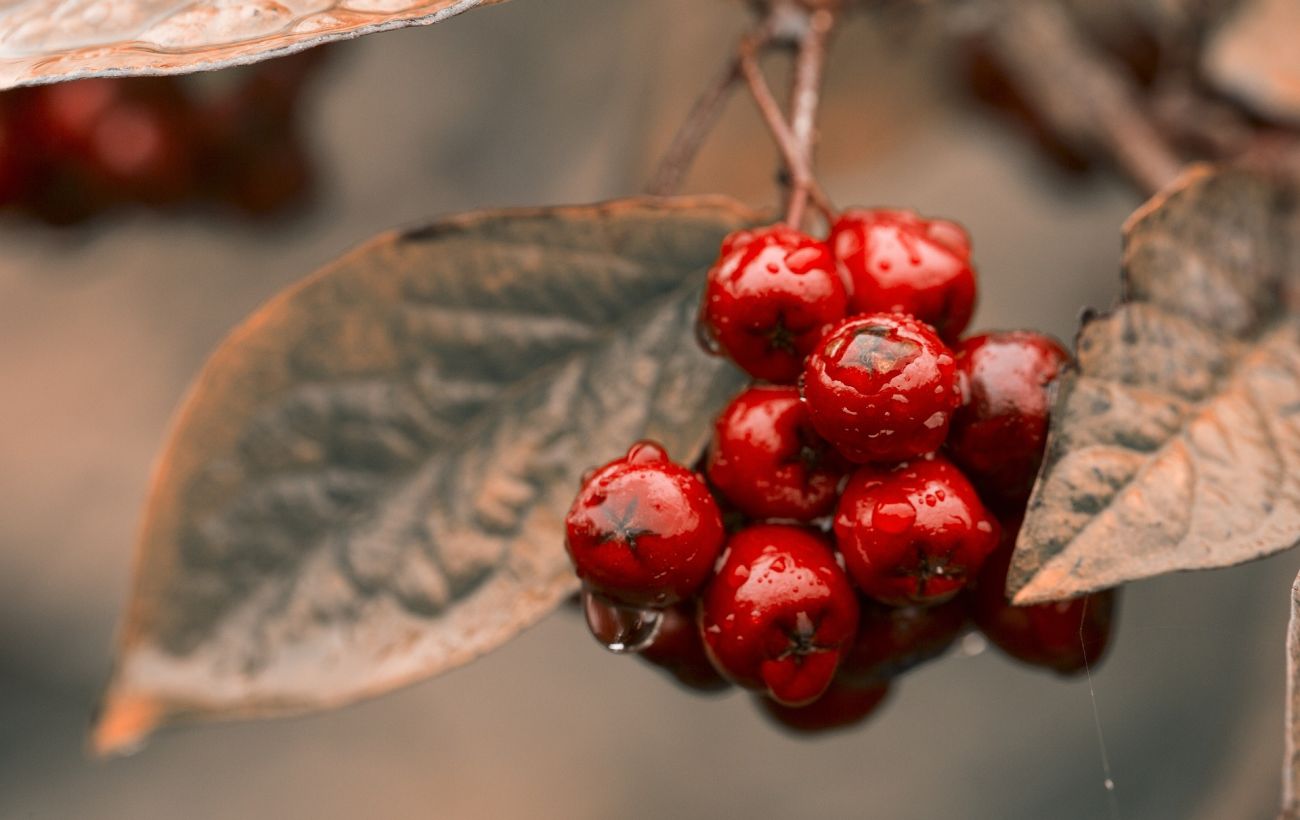  ���� ���� ������� ���� �������� ������� 2022 ��� 