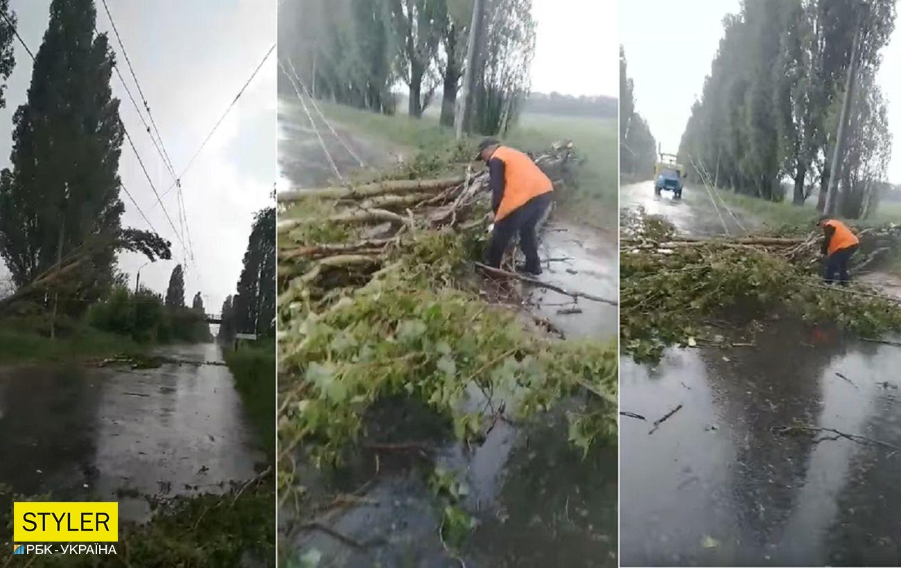  ����� ����� ������� ���������� ����� ��������� �������� ������ 