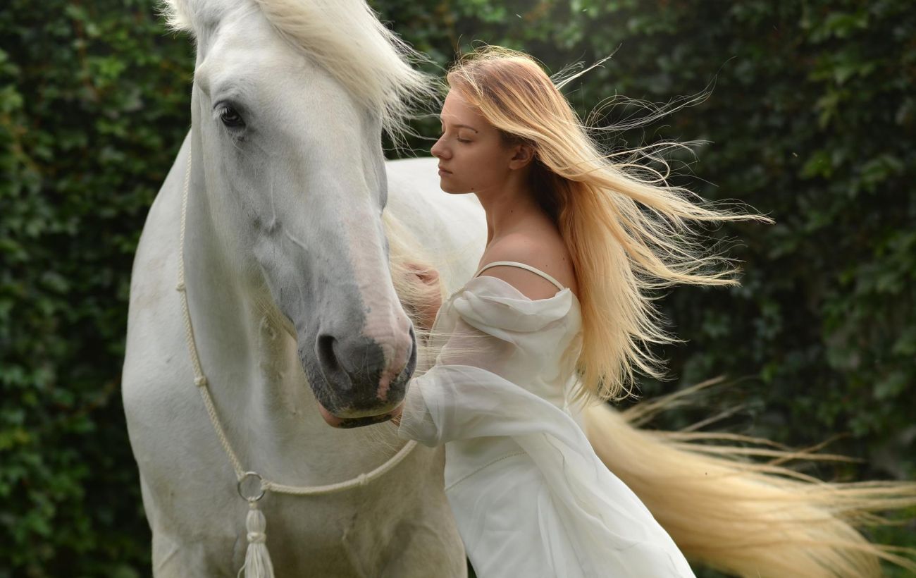  ���� ������� ������� �������� ��������� 2022 ������ 