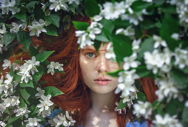 На Трійцю не можна гуляти по лісі