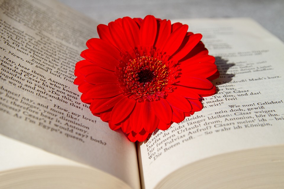 23 квітня - Всесвітній день книги і День англійської мови