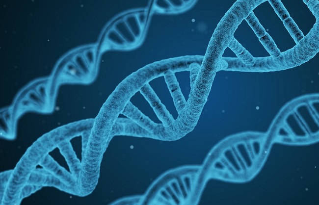 3 июня 1970 года создан первый искусственный ген