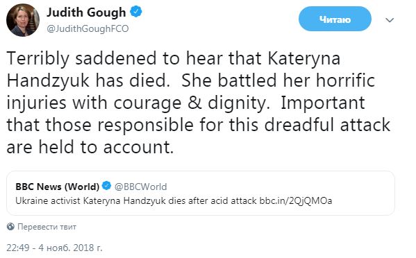 Посол Великобританії закликала покарати винних у смерті Гандзюк