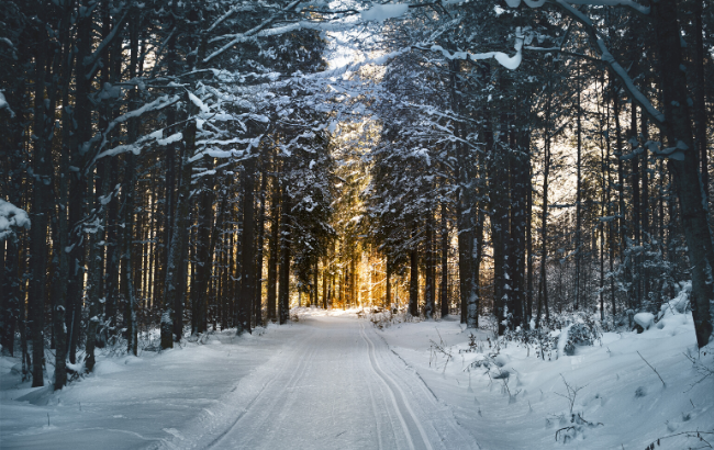 Погода на Новий рік 2020: синоптики різко змінили прогноз