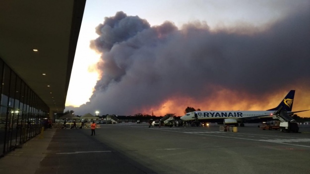 В Италии вспыхнул крупный лесной пожар, эвакуированы около 500 человек