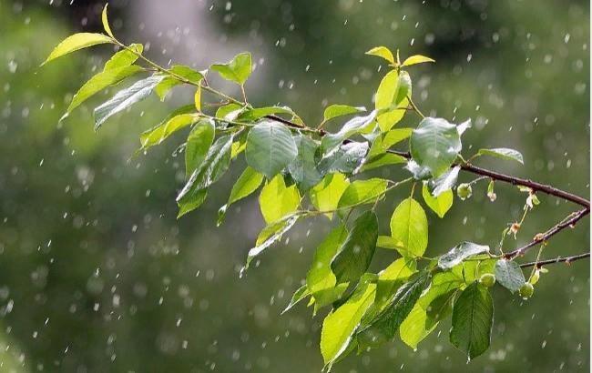 Підсумки дня: 28 травня