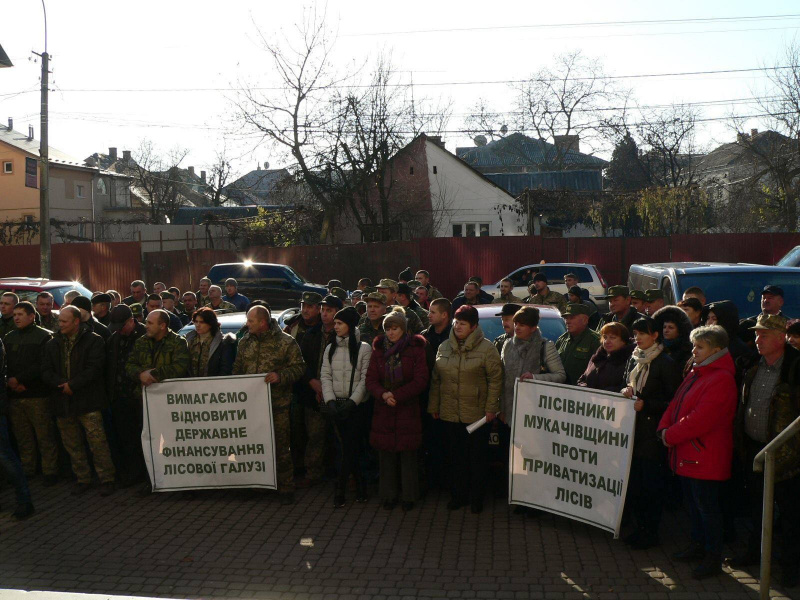 В Україні проходять мітинги з вимогою не допустити приватизації лісів