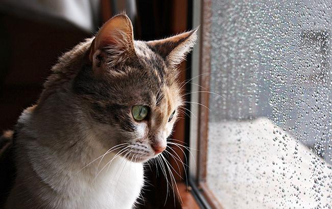 Итоги дня: 28 декабря