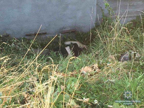 У Львові жінка загинула під колесами вантажного потяга