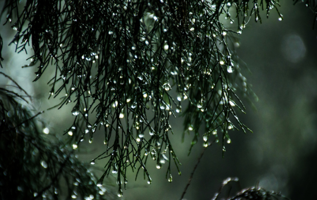 Погода станет еще хуже: синоптики огорчили прогнозом