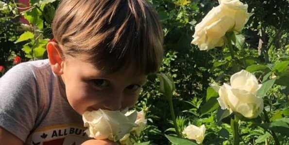Вбивство сина Соболєва в Києві: з'явилася інформація про матір хлопчика