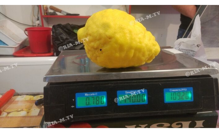 Під Запоріжжям фермери вирощують гігантські лимони (фото)