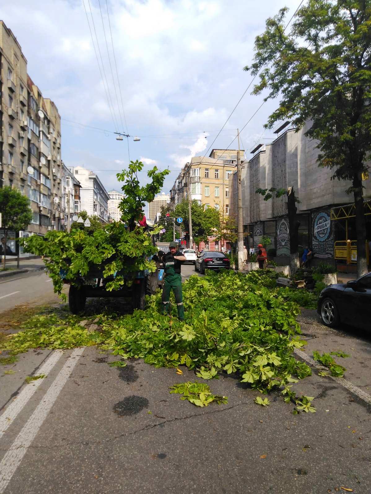 В Киеве сильный ветер повалил деревья в трех районах: фото последствий стихии