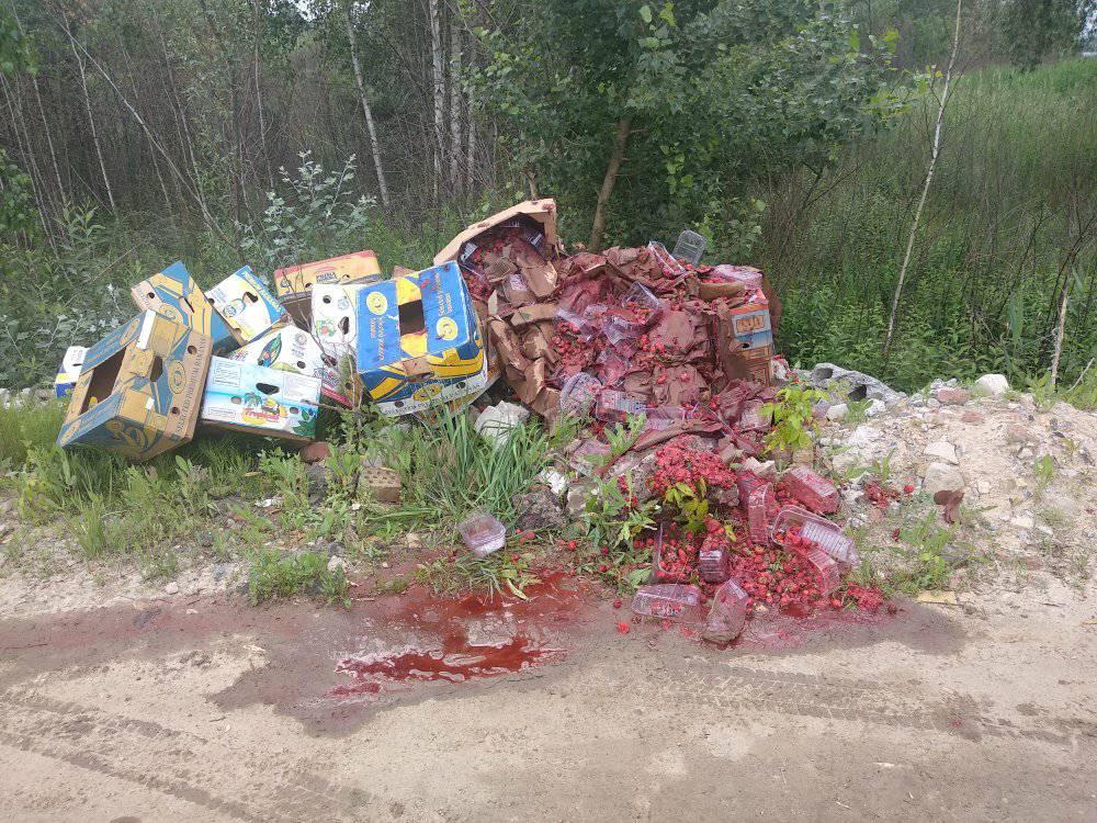 У Києві зелену зону перетворили на звалище сміття