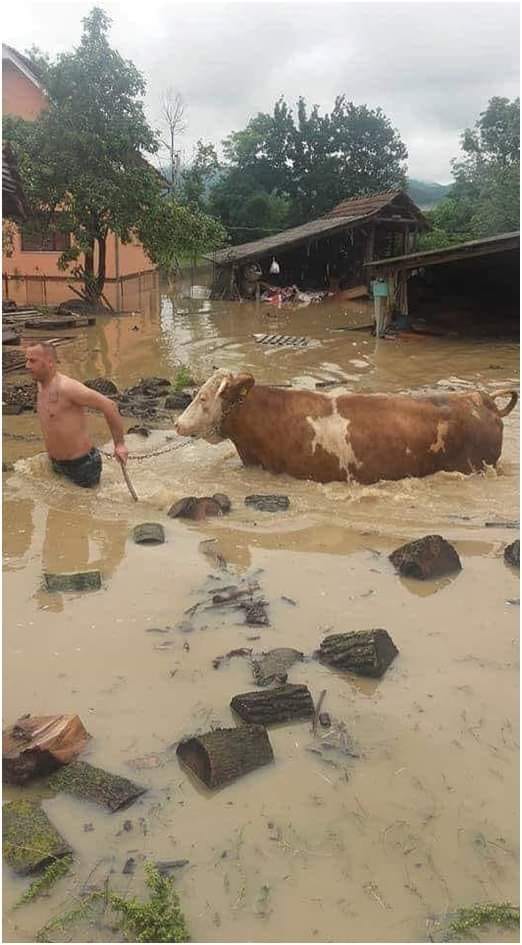 В Україні сильні зливи накоїли біди: затоплено будинки, людей евакуюють (фото, відео)