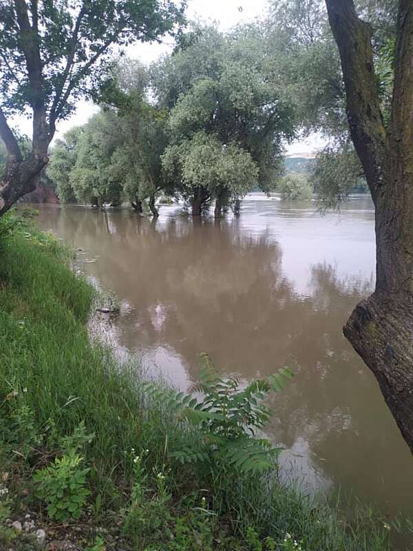 Українці налякані можливими повенями: почали викопувати картоплю