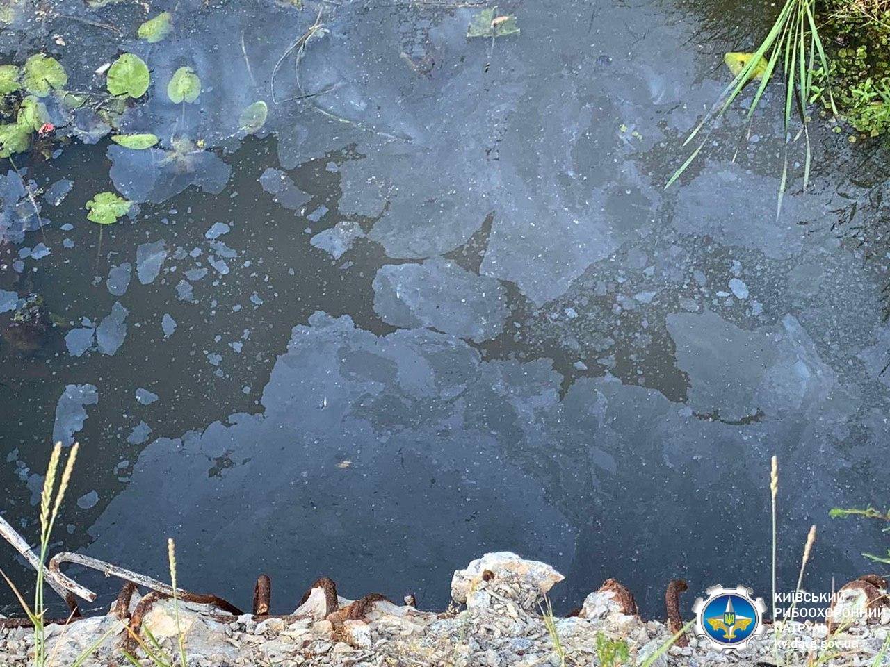 Під Києвом сталася екокатастрофа: жахливий запах стоїть всюди (фото)