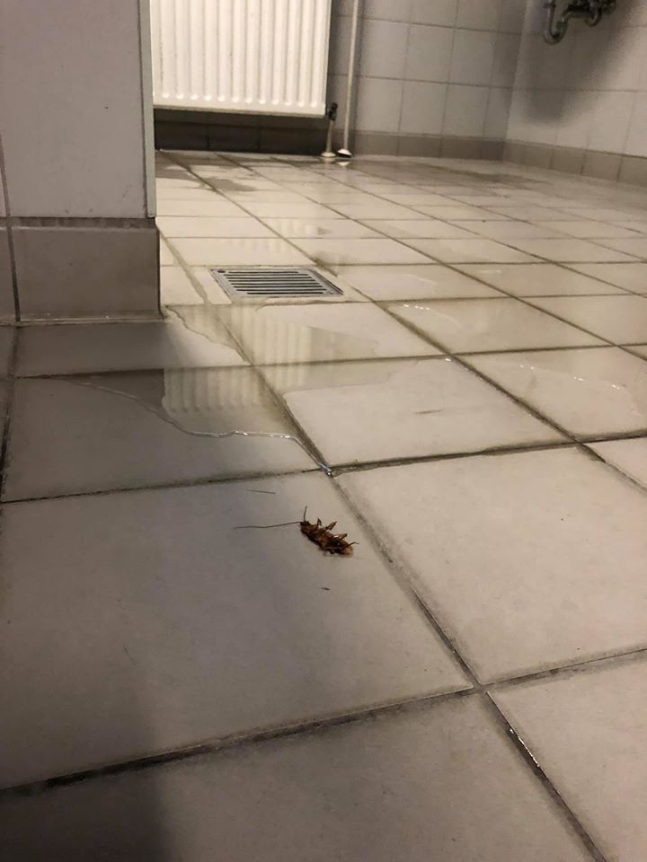 Как держали украинских туристов в Афинах: куча тараканов и не пускали в туалет