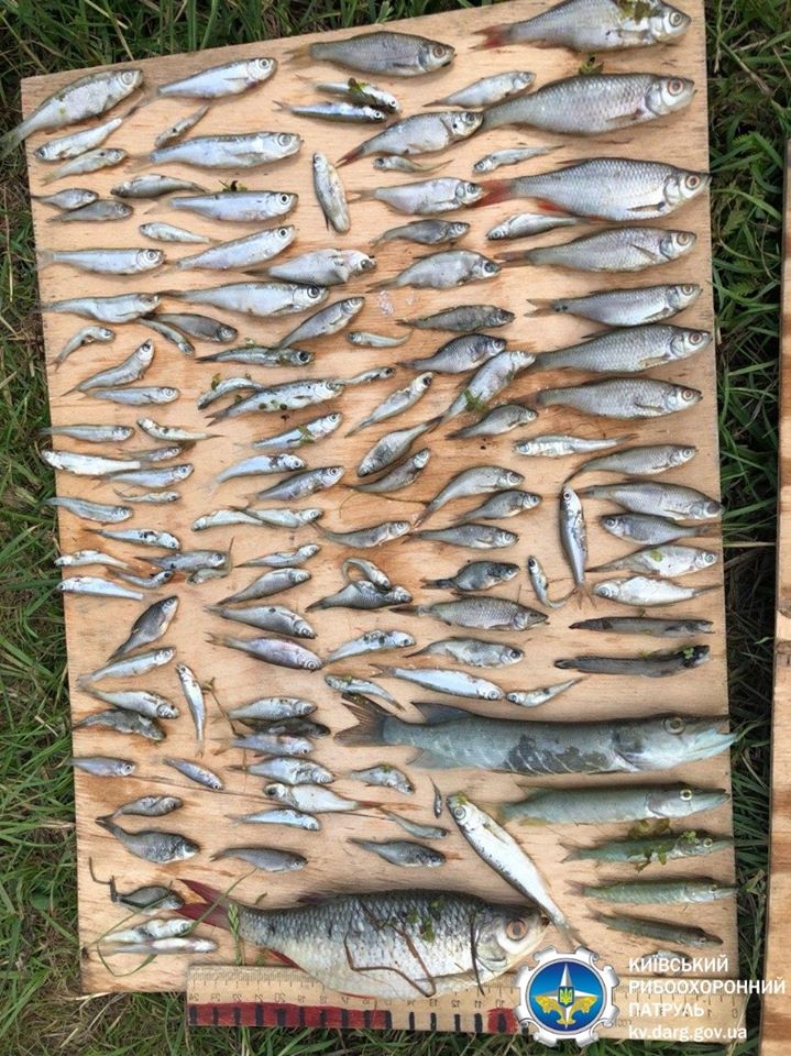 Під Києвом сталася екокатастрофа: жахливий запах стоїть всюди (фото)