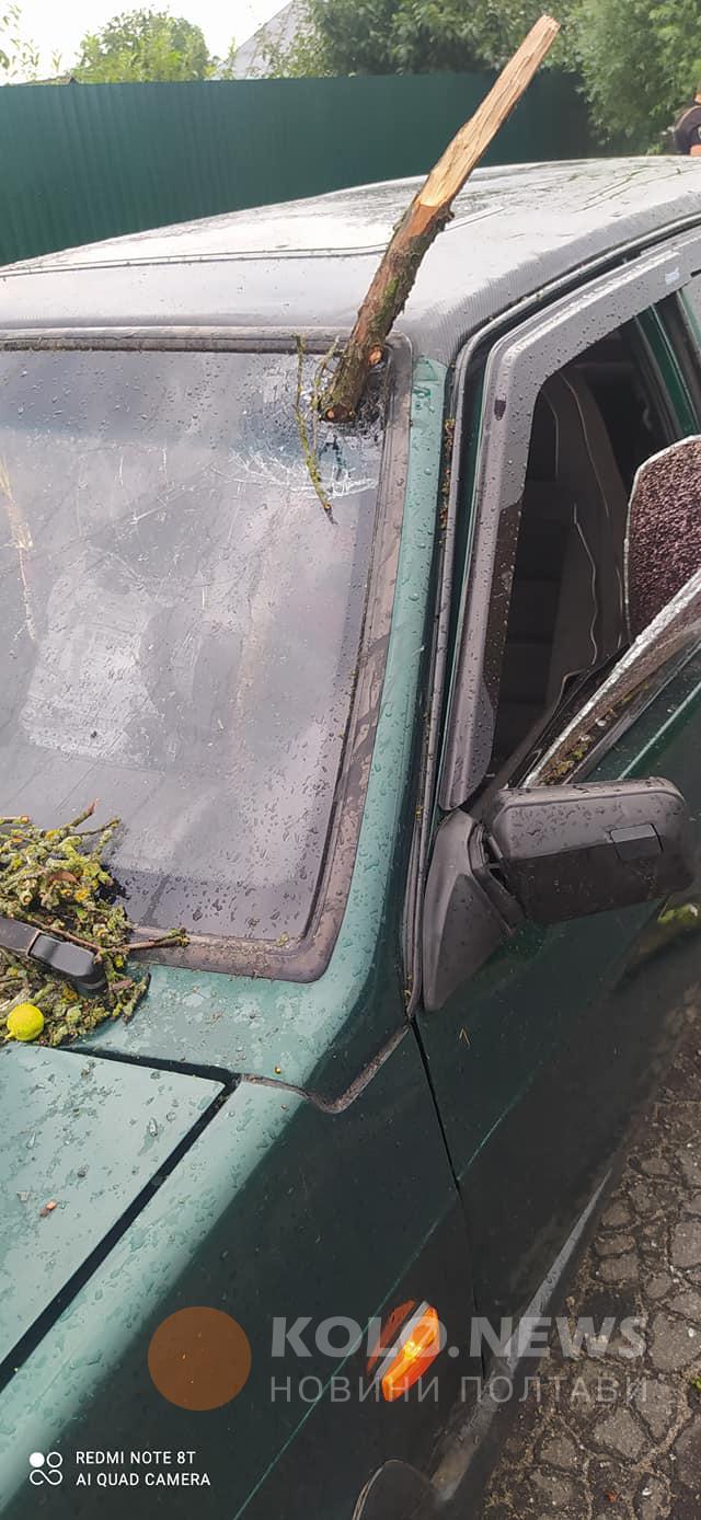 Ураган под Полтавой срывал крыши и деревья, пробивал ветвями авто и погрузил область во тьму