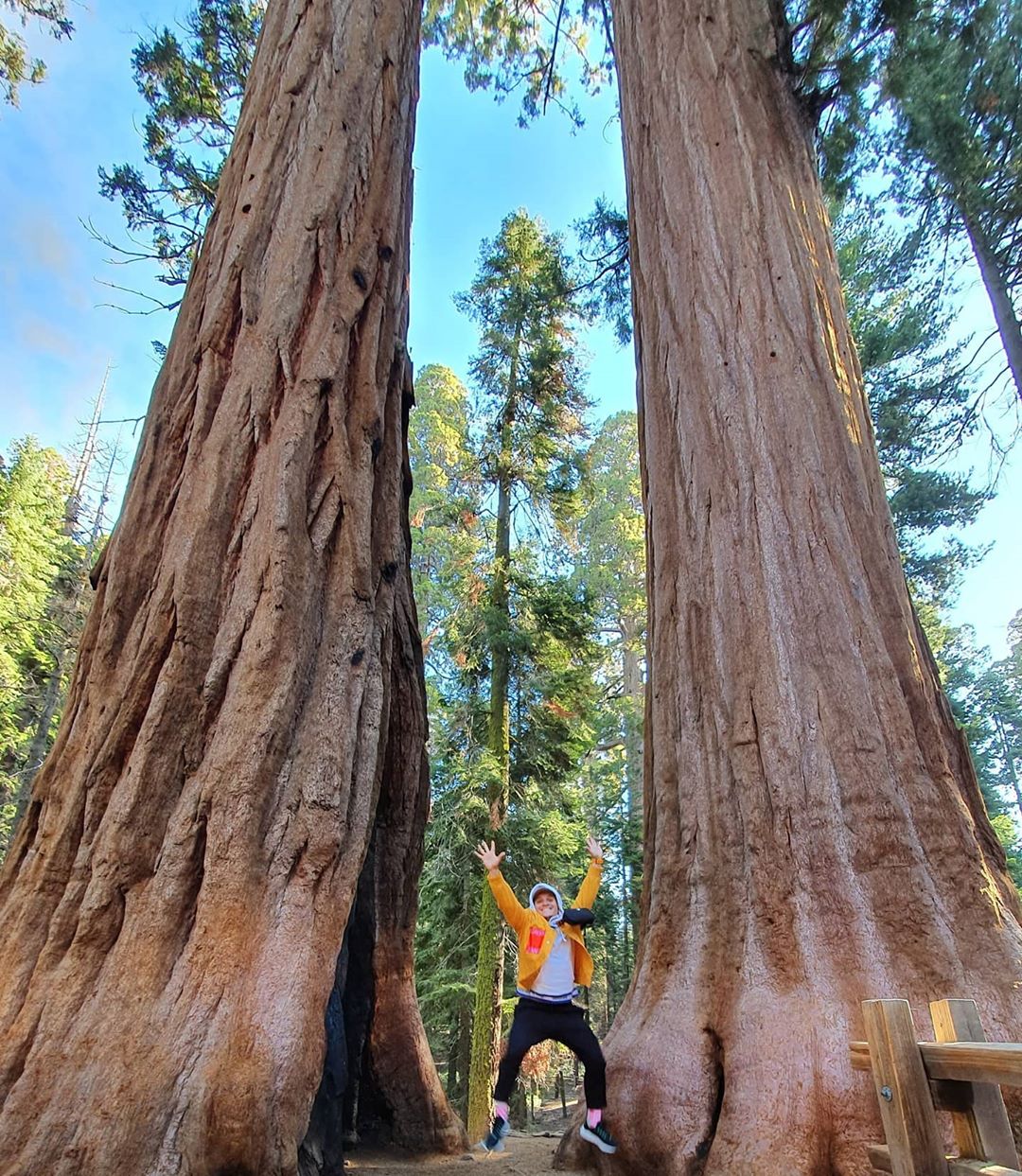 Де відсвяткувати День Незалежності України: топ-5 місць від Анатолія Анатоліча