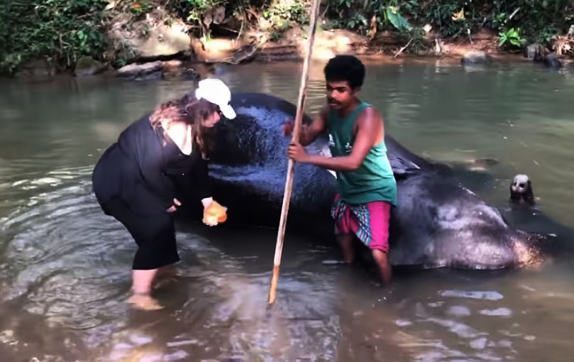 "Сказочные каникулы": группа KAZKA мыла слона и откапывала из снега Жигули