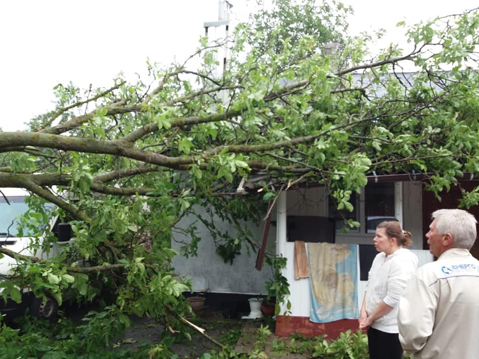 Повалені дерева і затоплені вулиці: під Рівним розбушувалася негода