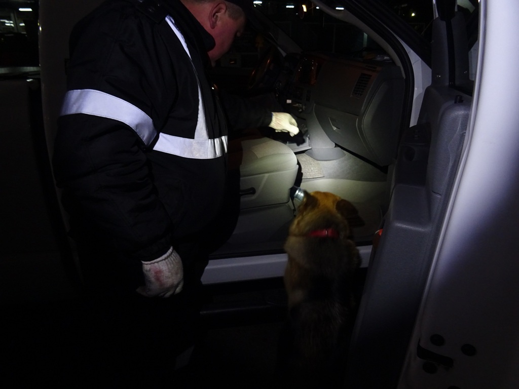 Пограничники пресекли контрабанду патронов на границе с Польшей