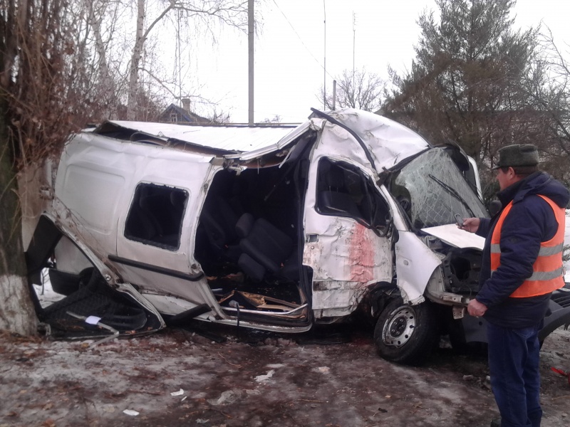 В Луганской области маршрутка въехала в дерево, пострадали 10 человек