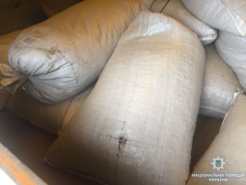 У Житомирській області вилучили рекордну партію бурштину